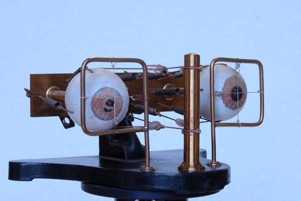 binocular vision apparatus jpg